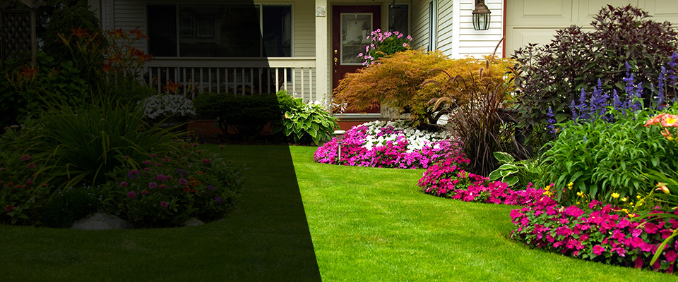 Marcellus Landscapers